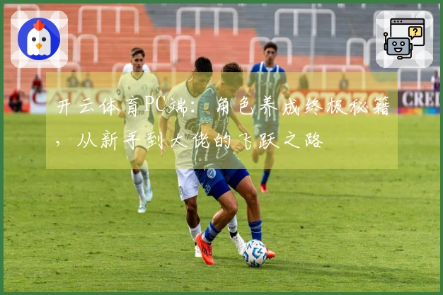 开云体育PC端：角色养成终极秘籍，从新手到大佬的飞跃之路